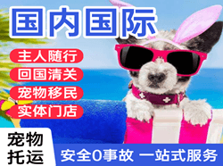 三沙永兴航空空运国际宠物托运 【国